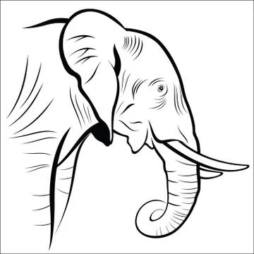 Elephant Stock Illustration