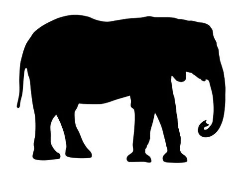 Elephant Stock Illustration