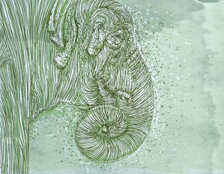 An elephant Stock Illustration