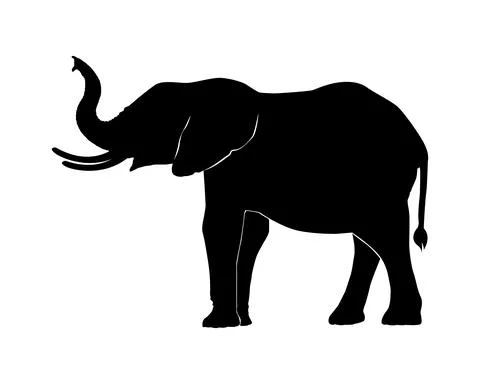 Elephant Stock Illustration