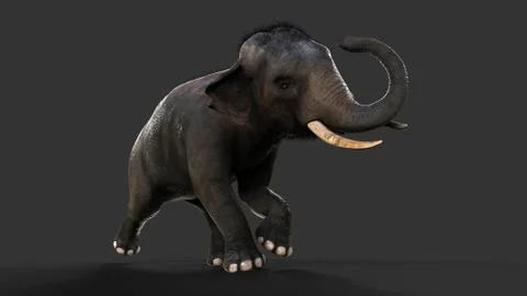 Elephant isolate on black background with clipping path Illustrazione stock