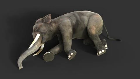 Elephant isolate on black background with clipping path Stock Illustration
