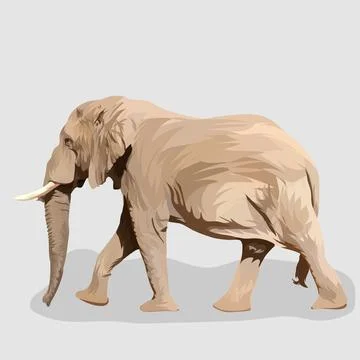 Elephant isolated realistic hand drawn vector Stock Illustration