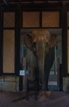 The Elephant keeper Monument Stock-Fotos