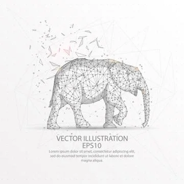 Elephant low poly wire frame on white background. Stock Illustration
