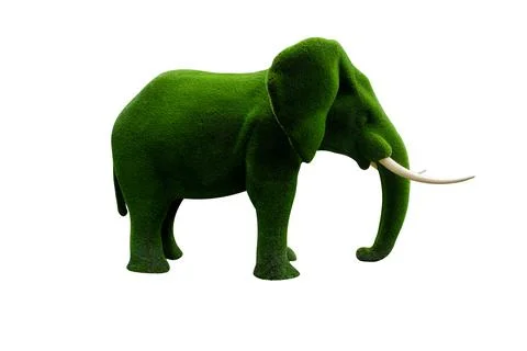 Elephant made of grass isolated on white background Stock Photos