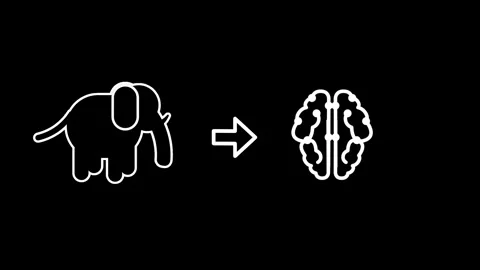 Elephant Memory Mapping Stock Footage 334189043