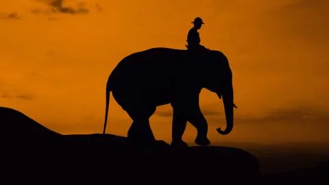 Elephant at mountain Foto stock