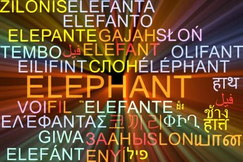 Elephant multilanguage wordcloud background concept glowing Stock-Illustration