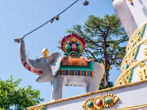 Elephant Stock Photos