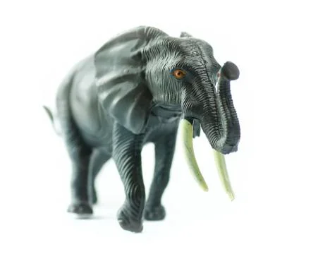 Elephant Stock Photos