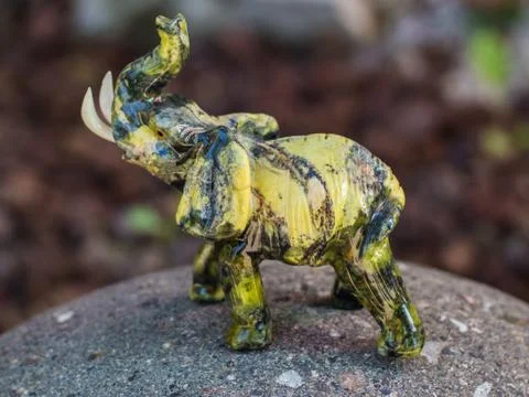 Elephant Stock Photos
