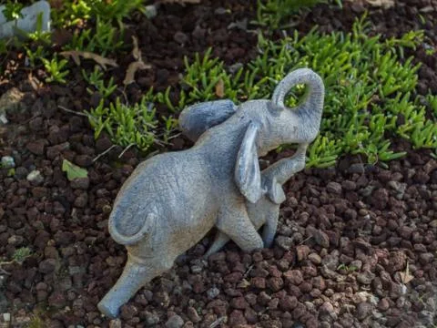 Elephant Stock Photos