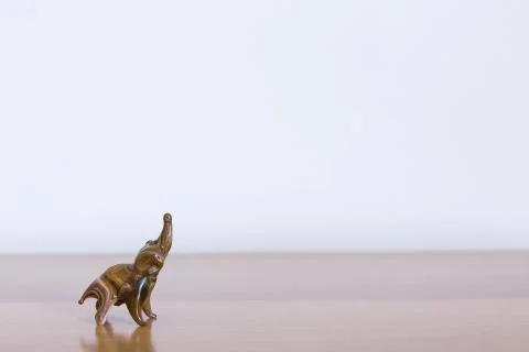 Elephant Stock Photos