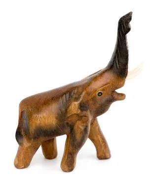Elephant Stock Photos