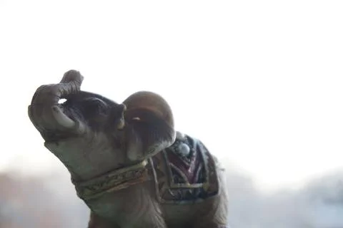 Elephant Stock Photos