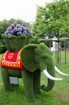 Elephant Stock Photos