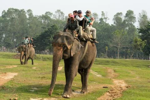 Elephant ride Stock Photos