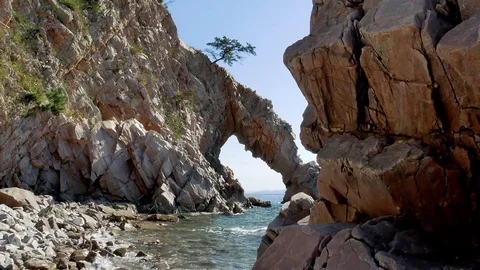 Elephant rock and pine: 스톡 동영상 80567158