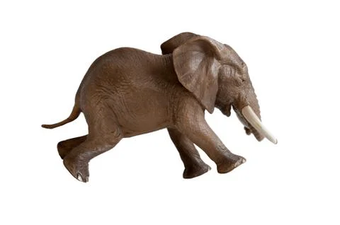 Elephant running isolated Stock Photos