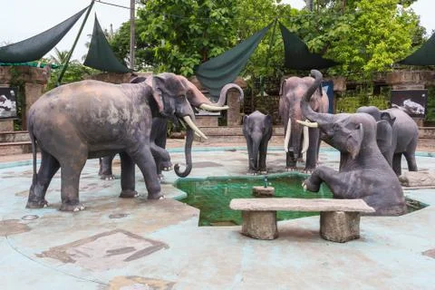 Elephant Scene Stock Photos