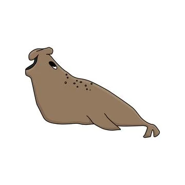 Elephant seal. Hand drawn vector cartoon isolated cute animal in Antarctica Stock Illustration