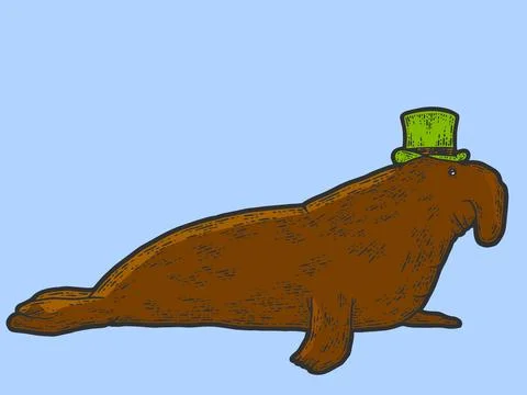 Elephant seal in hat. Sketch scratch board imitation color. Engraving vector Illustrazione stock