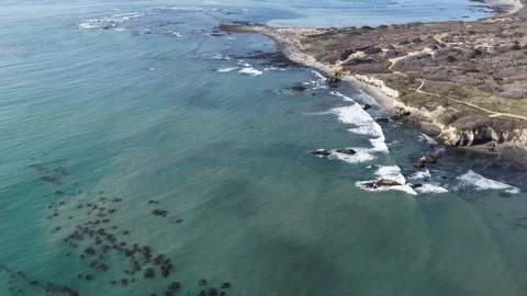 Elephant seals migrating and resting on Ano Nuevo Beach in California aerial Stock Footage 330984151