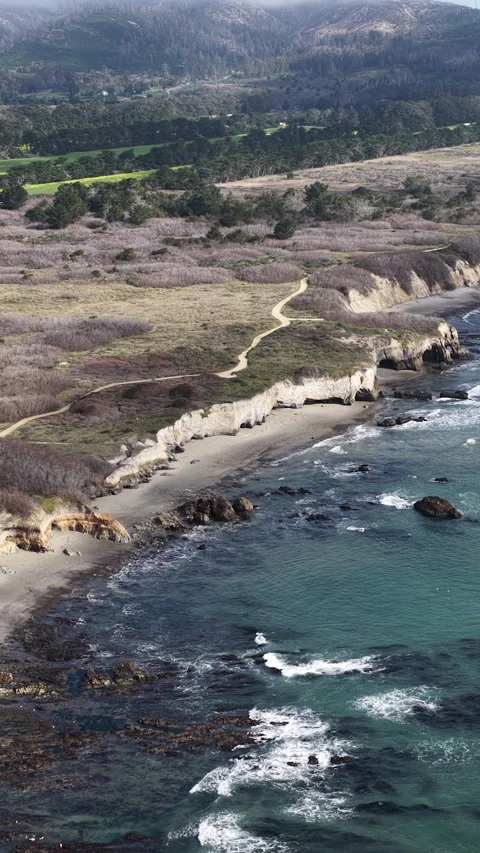 Elephant seals migrating and resting on Ano Nuevo Beach in California aerial 스톡 동영상 330984160