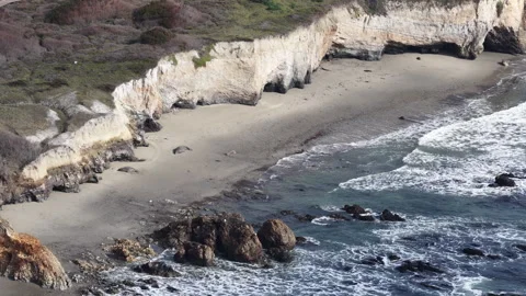 Elephant seals migrating and resting on Ano Nuevo Beach in California aerial Video stock 330984339
