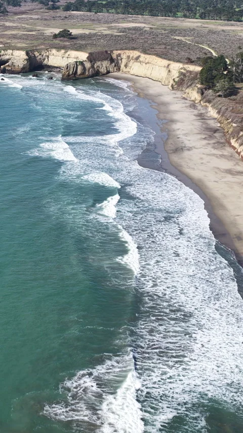 Elephant seals migrating and resting on Ano Nuevo Beach in California aerial Stock Footage 330984347
