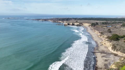Elephant seals migrating and resting on Ano Nuevo Beach in California aerial Stock Footage 330984371
