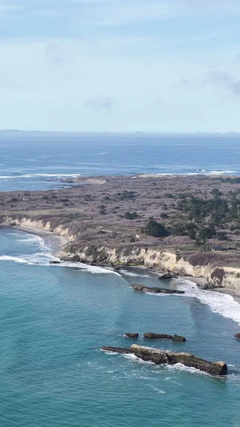 Elephant seals migrating and resting on Ano Nuevo Beach in California aerial Stock-Footage 330984404