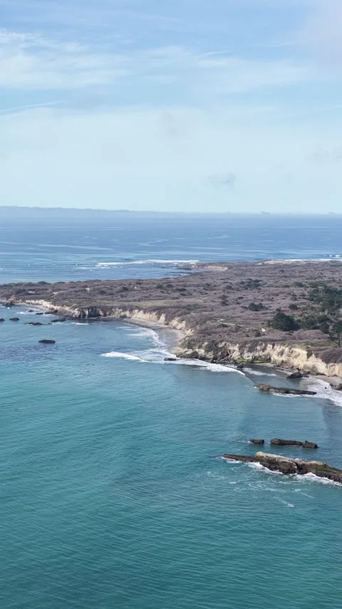 Elephant seals migrating and resting on Ano Nuevo Beach in California aerial Stock Footage 330984417