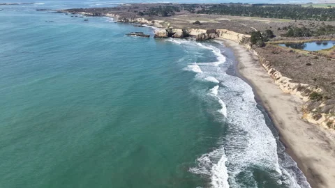 Elephant seals migrating and resting on Ano Nuevo Beach in California aerial 스톡 동영상 330984437
