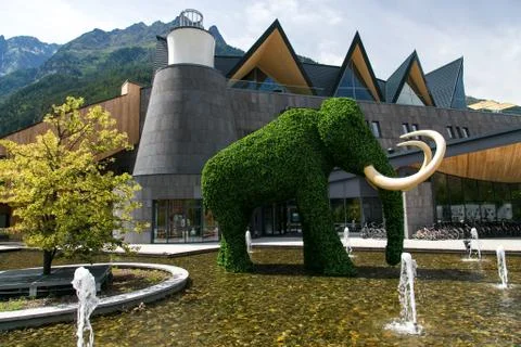 Elephant Shape Bush Stock Photos