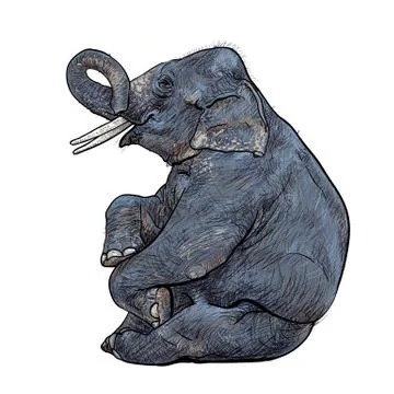 Elephant show ,vector. Stock Illustration