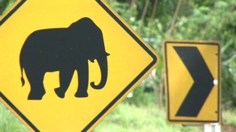 Elephant sign CU2 Stock Footage 731548