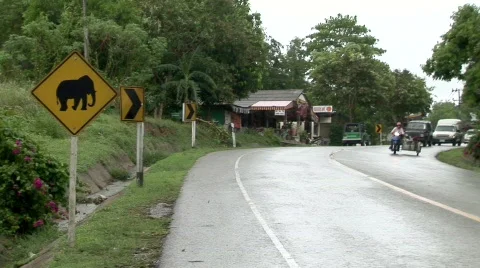 Elephant sign medium2 Stock Footage 731553