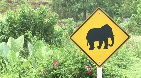 Elephant sign rightframe Stock Footage 731556