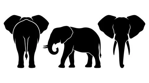 Elephant silhouette collection showing different angles of african wildlife Stock Illustration