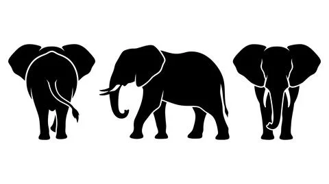 Elephant silhouette collection showing different angles of large african Stock Illustration