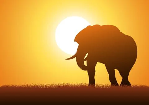Elephant Silhouette Stock Illustration
