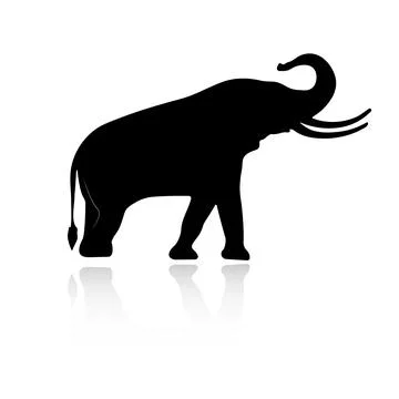 Elephant silhouette with reflection. Stock Illustration