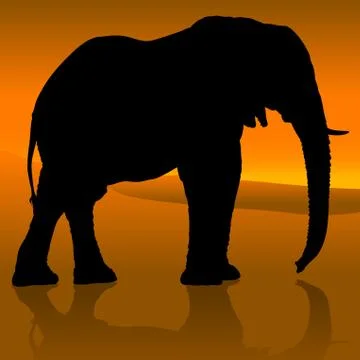 Elephant Silhouette Sunset Illustrazione stock