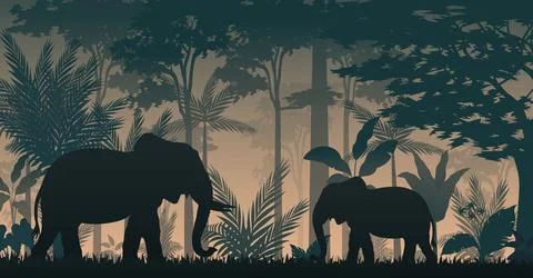 Elephant silhouette at sunset Stock Illustration
