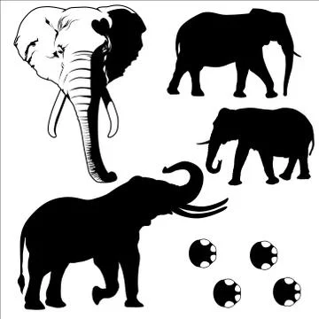 Elephant silhouetted vector Stock Illustration