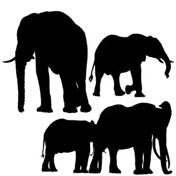 Elephant Silhouettes Stock Illustration