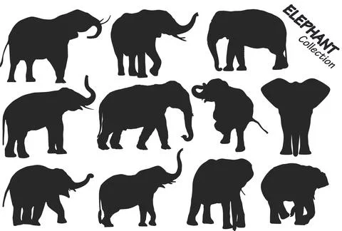 Elephant silhouettes 스톡 일러스트