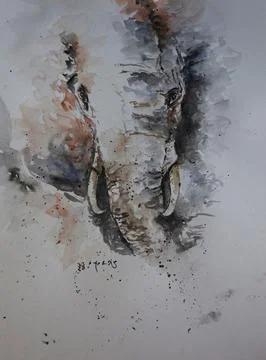 Elephant Sketch Ilustración de archivo